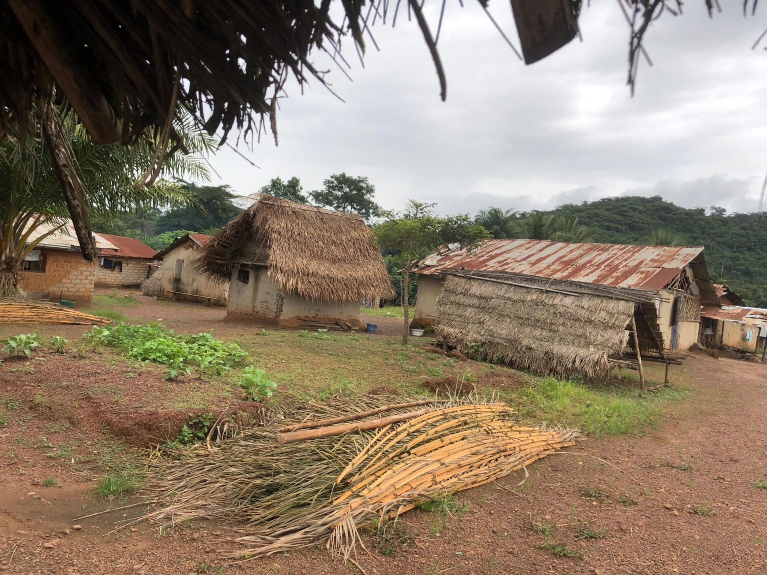 Liberia Avoids the Deadly Mpox Strain for Now but Health Care Workers Say They Need More