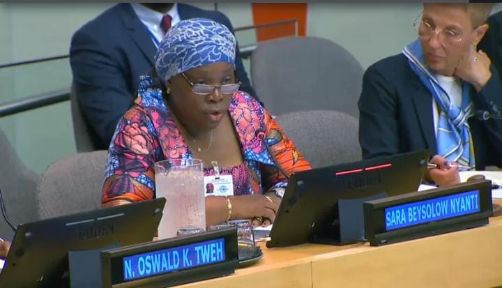 At U.N. Liberian Government Seeks Endorsement of War and Economic Crimes Courts; Commits to Government Apology and Reparations