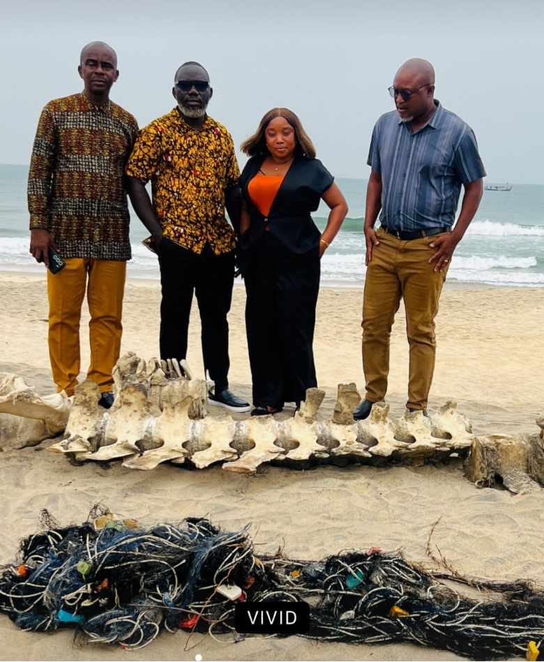 Experts Warn of Health Risk as Hungry People Eat a Dead Whale