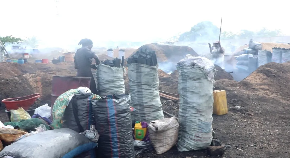 “Doctors thought I smoked weed”: the women trapped in Ghana’s charcoal trade