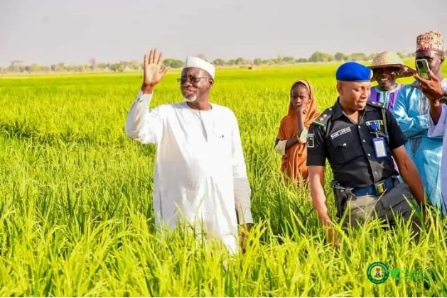 As Latest Hunger Index Shows Liberia Remains One of the Countries Most at Risk for Hunger; A New Push to Grow More Rice Could Change That