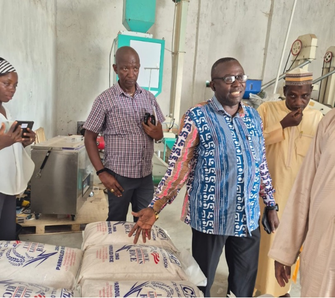 Liberia’s Rice Revolution: Experts Say A Proven Model Offers Hope to Break Dependence on Imports and Reduce Hunger